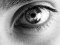 observando