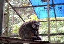zoo