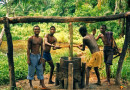 Making_palm_oil,_DR_Congo