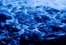 agua