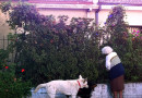 el-jardin-de-Noelia