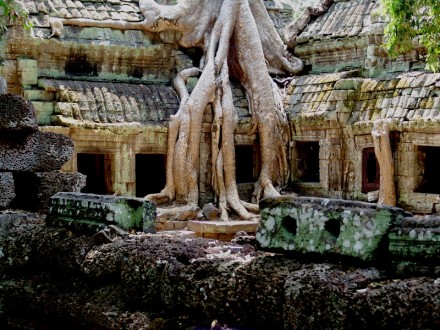 Nuevas configuraciones. Angkor Camboya, 2006. Fotografía de Mauricio Tolosa.
