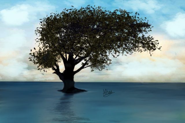Un árbol en el océano